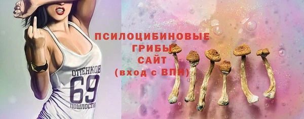 ГАЛЛЮЦИНОГЕННЫЕ ГРИБЫ Бородино