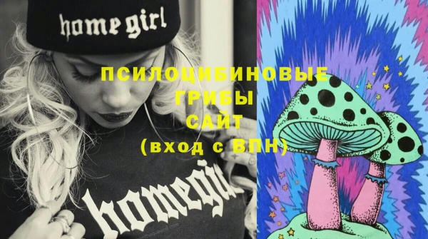 молекула духа Бугульма
