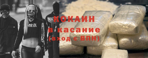 ГАЛЛЮЦИНОГЕННЫЕ ГРИБЫ Бородино