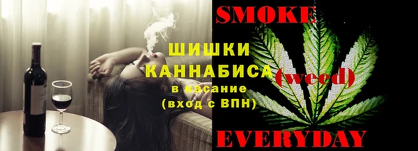 ECSTASY Бронницы