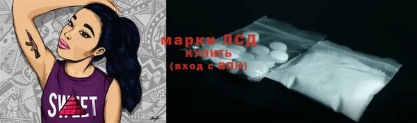 ГАЛЛЮЦИНОГЕННЫЕ ГРИБЫ Бородино