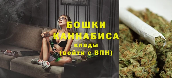 ГАЛЛЮЦИНОГЕННЫЕ ГРИБЫ Бородино