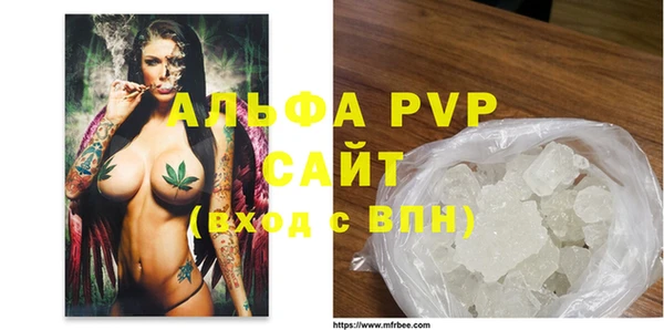 ГАЛЛЮЦИНОГЕННЫЕ ГРИБЫ Бородино
