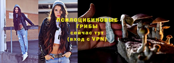 молекула духа Бугульма