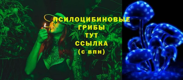 ГАЛЛЮЦИНОГЕННЫЕ ГРИБЫ Бородино